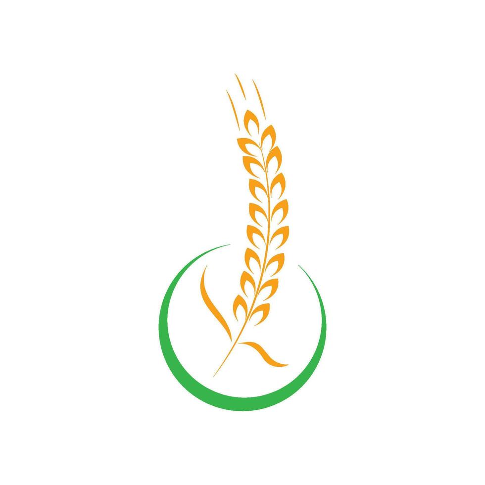 wheat logo template vector