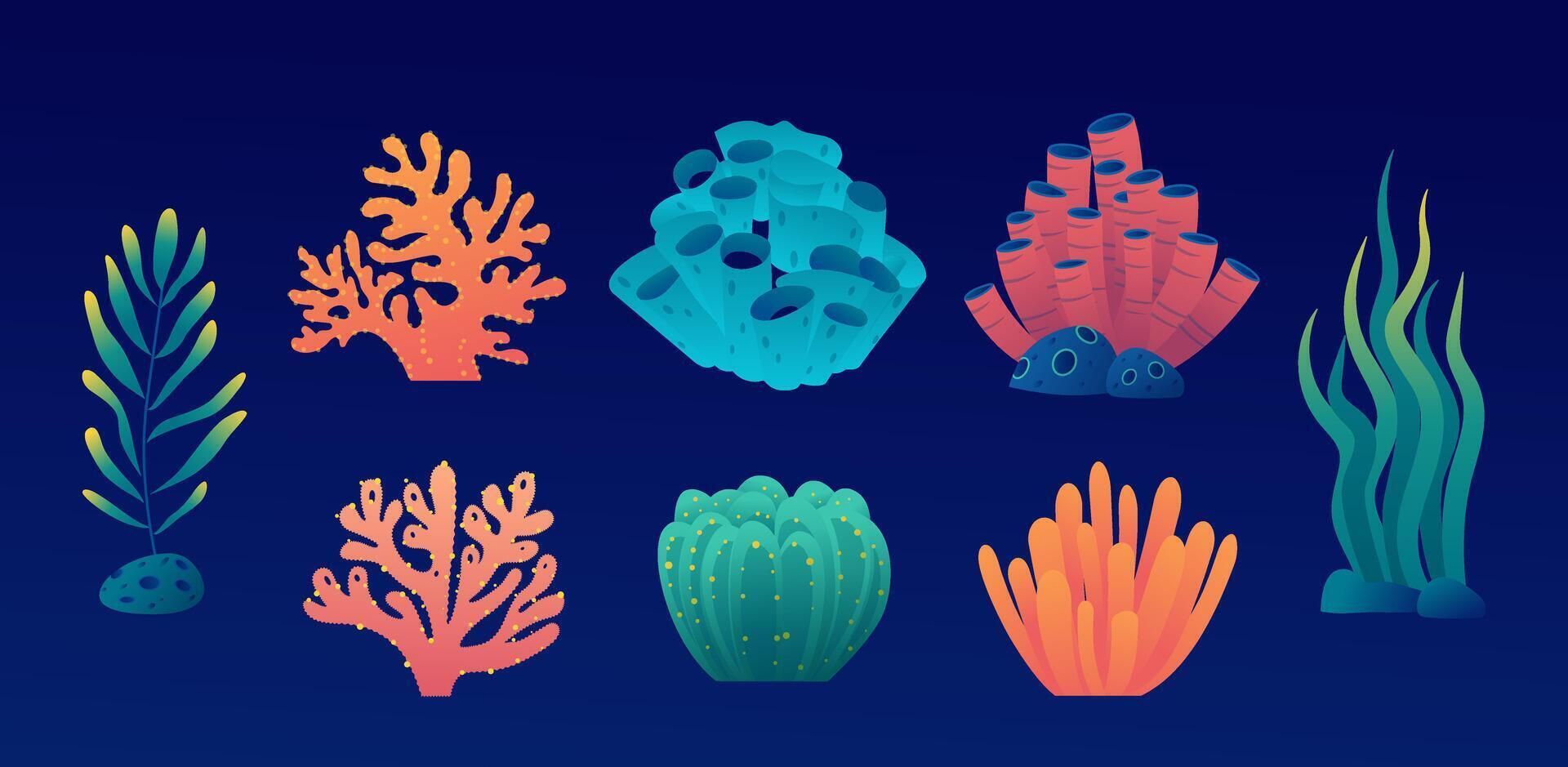 Collection of elements such as coral, coral reefs, sponges, and seaweed in the ocean vector