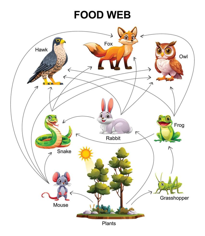 Food web ecosystem cartoon illustration 46551506 Vector Art at Vecteezy