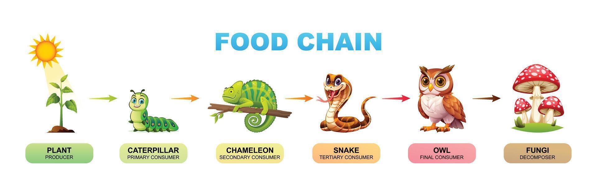 Food chain cartoon illustration showing plant, caterpillar, chameleon ...