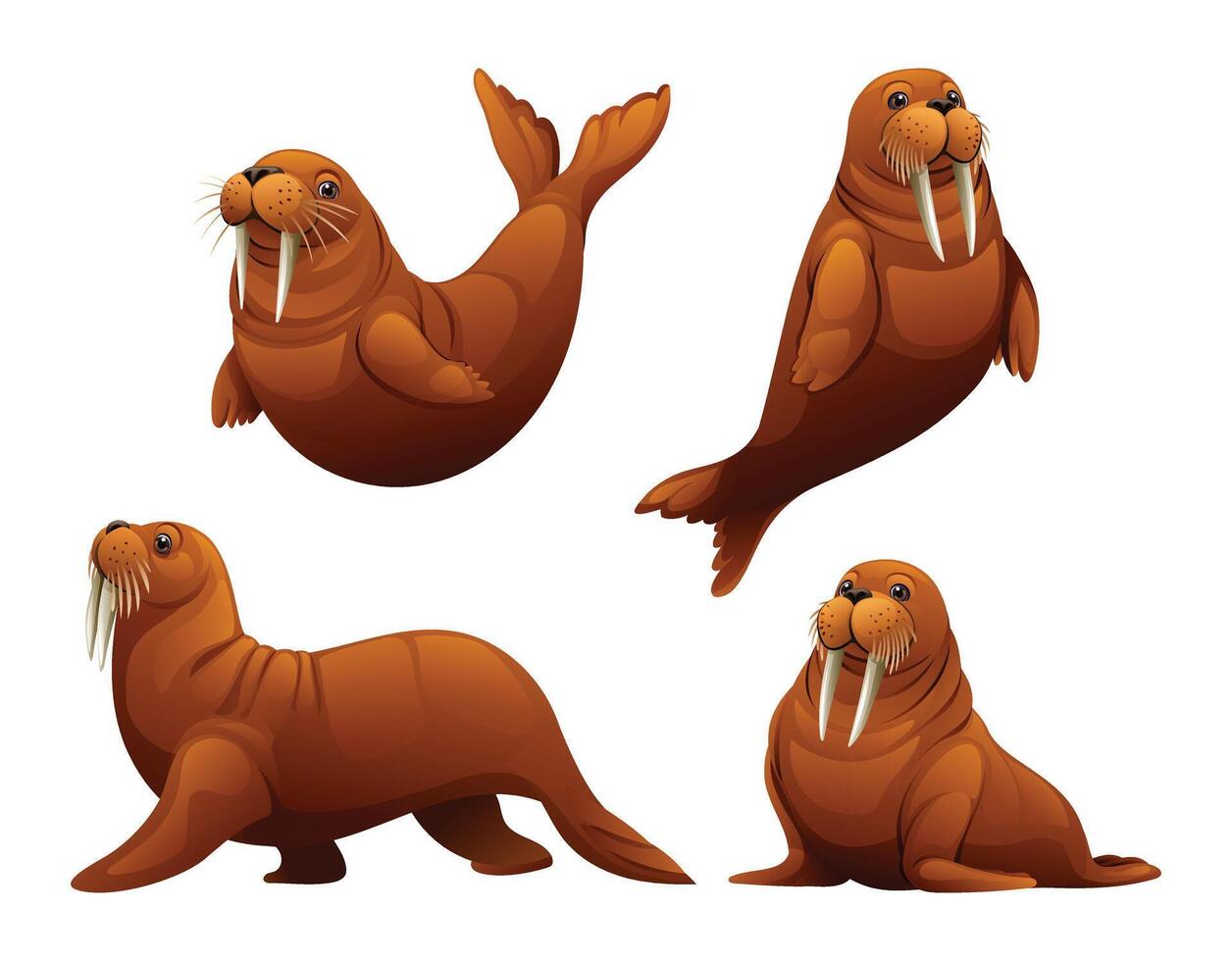 Set of walrus in various poses. Cartoon illustration vector
