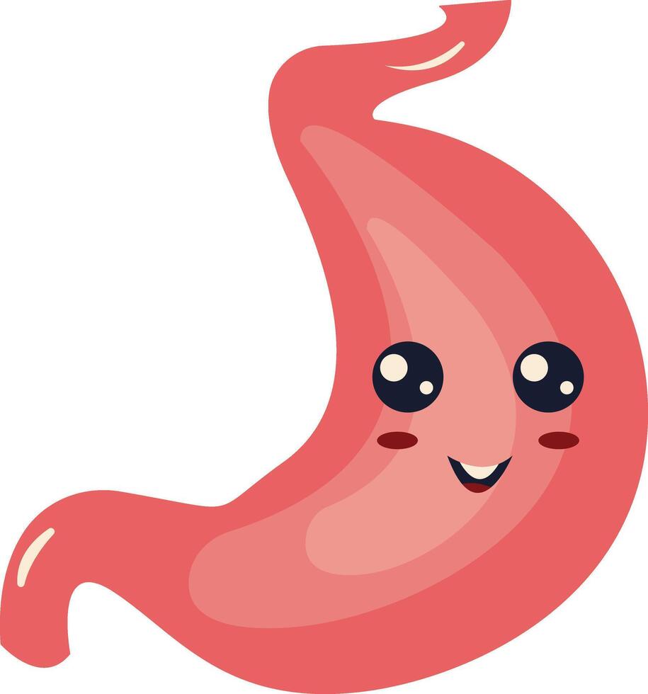 Human Internal Organs Character with Cute Cartoon Style. Isolated on White Background. vector