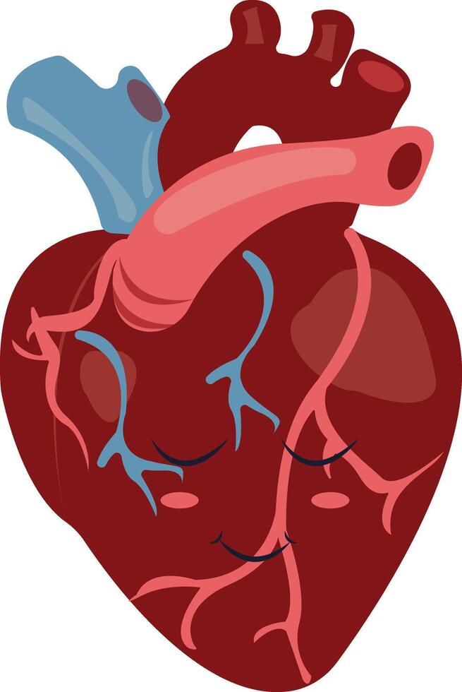 Human Internal Organs Character with Cute Cartoon Style. Isolated on White Background. vector