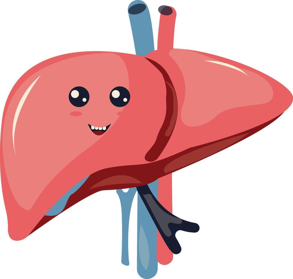 Human Internal Organs Character with Cute Cartoon Style. Isolated on White Background. vector