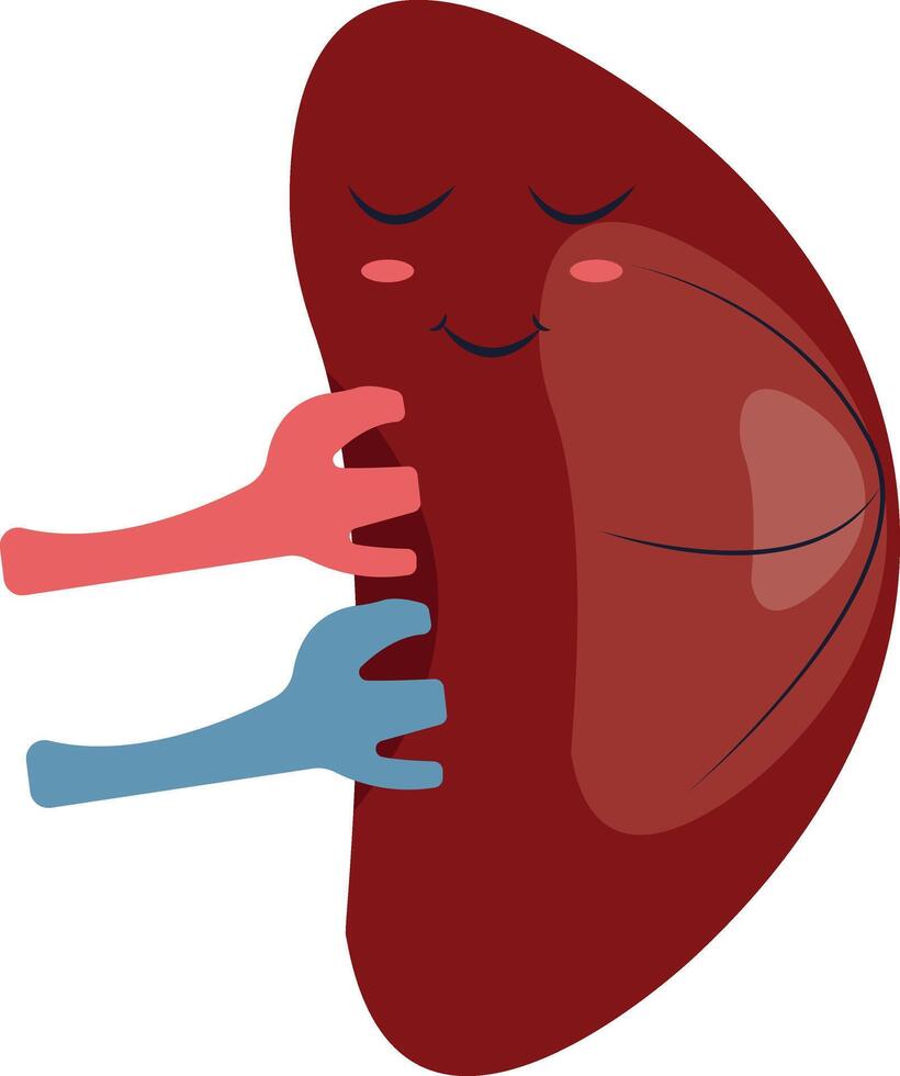 Human Internal Organs Character with Cute Cartoon Style. Isolated on White Background. vector