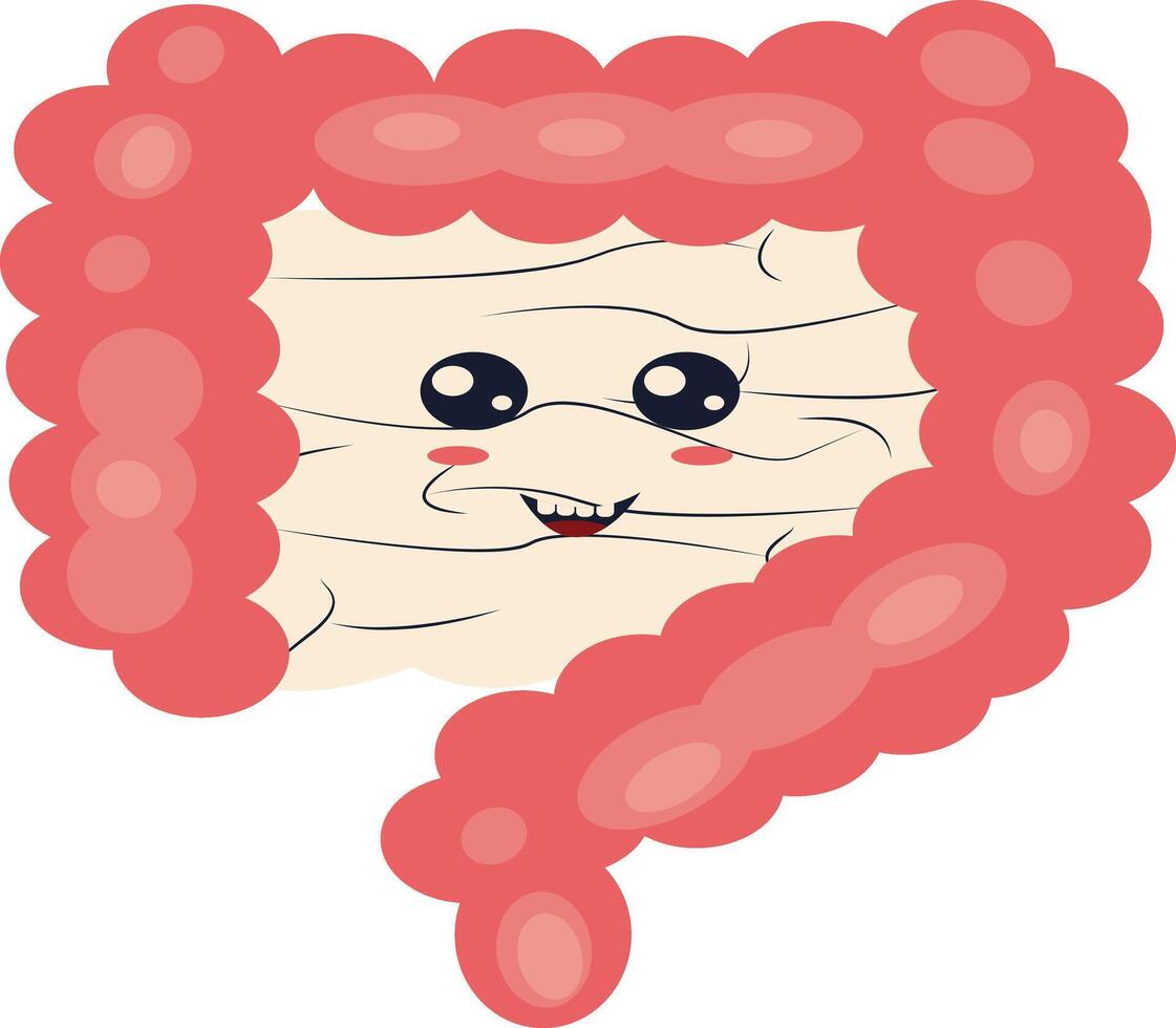Human Internal Organs Character with Cute Cartoon Style. Isolated on White Background. vector