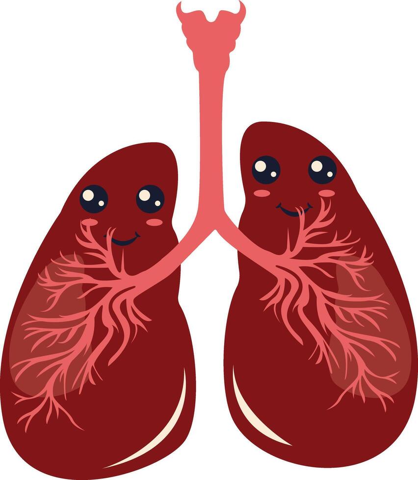 Human Internal Organs Character with Cute Cartoon Style. Isolated on White Background. vector