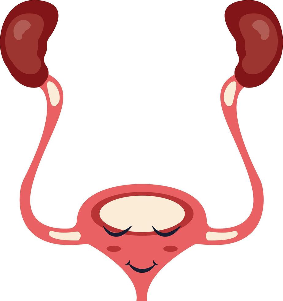 Human Internal Organs Character with Cute Cartoon Style. Isolated on White Background. vector