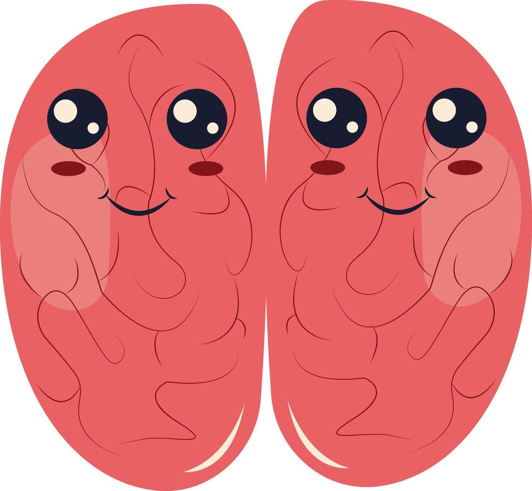 Human Internal Organs Character with Cute Cartoon Style. Isolated on White Background. vector