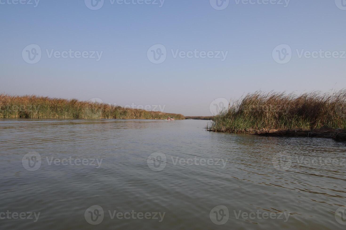 Marshes of chibayish in iraq photo