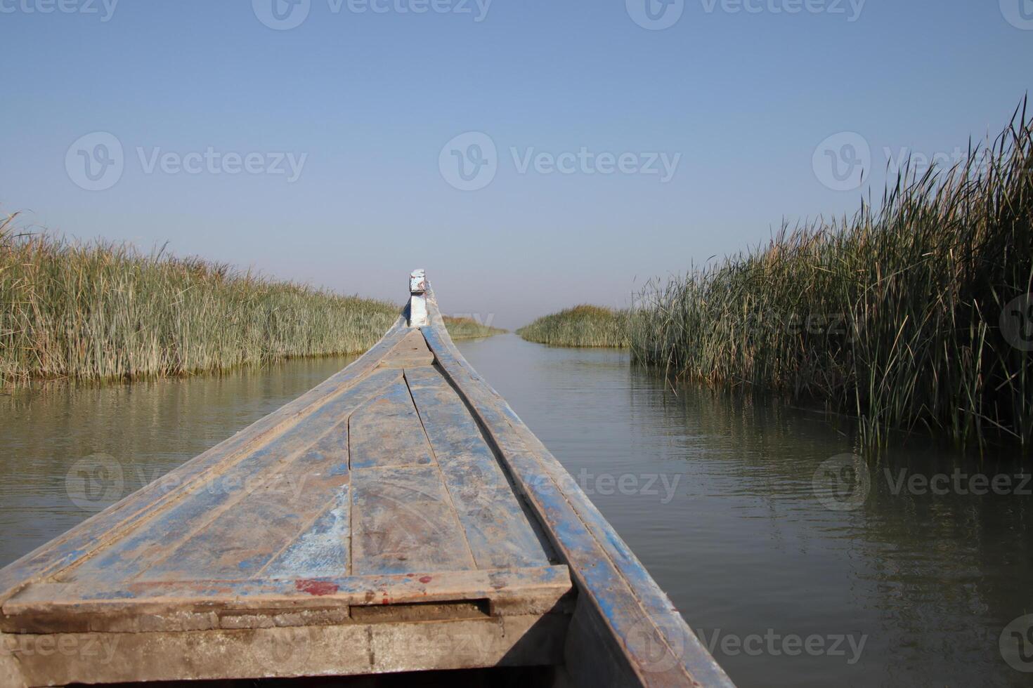 canoe in the chibayish marshes with cane and blue sky in iraq photo