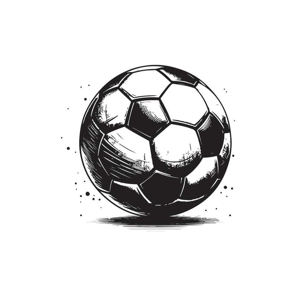 Isolated Realistic Soccer Ball black and white color vector