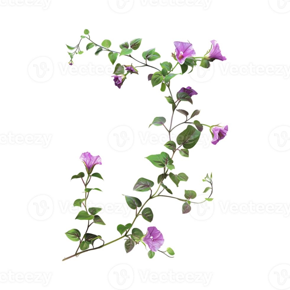 Beautiful Ivy vines on Transparent Background png