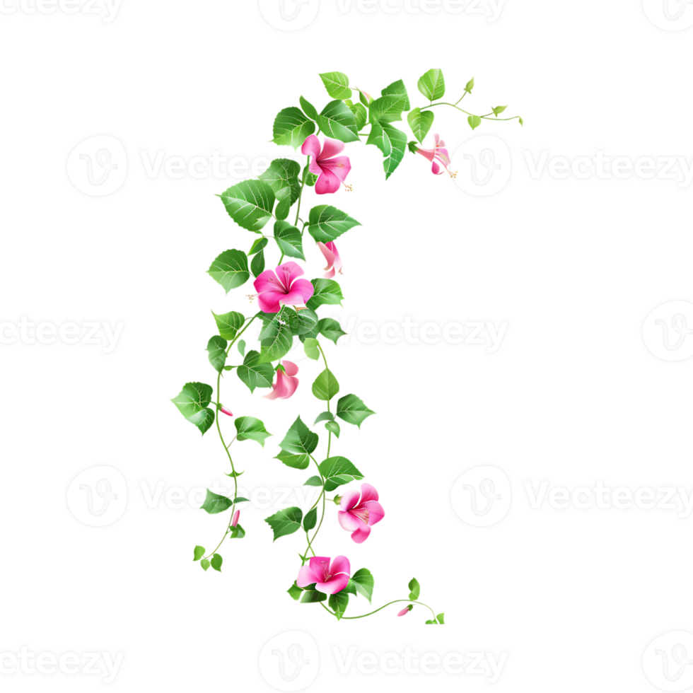 Beautiful Ivy vines on Transparent Background png