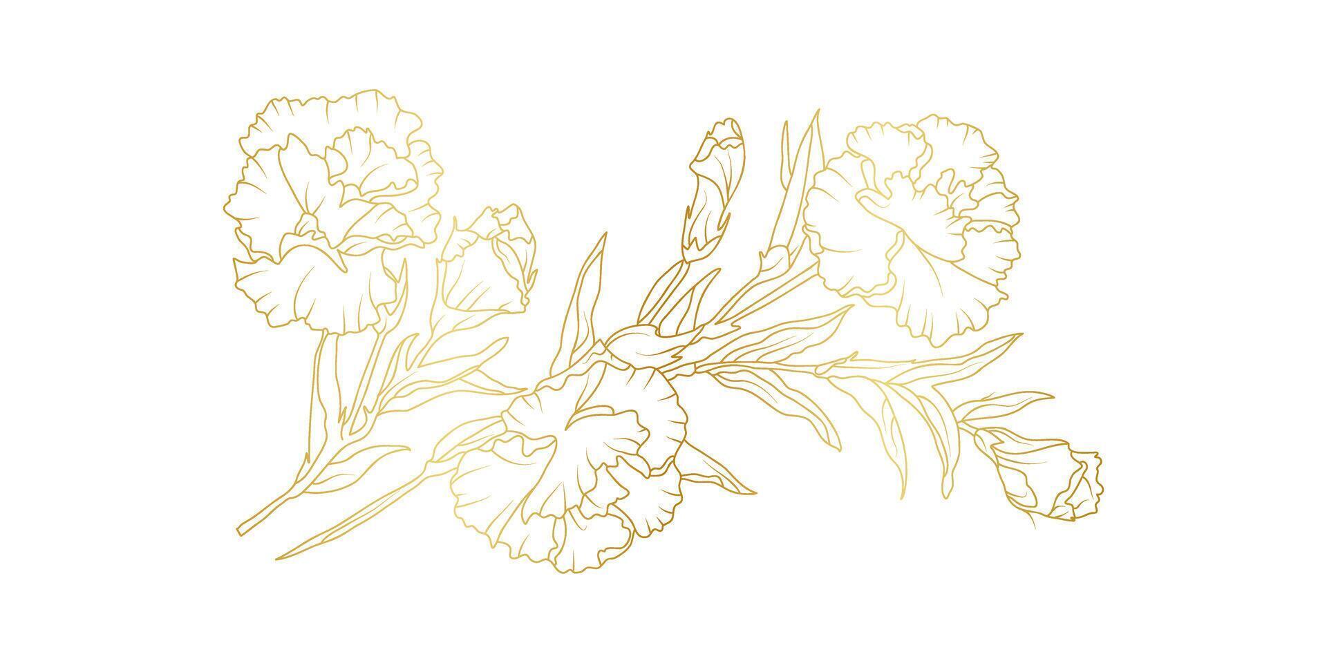 Golden carnation flowers line art isolated on white background. Luxury floral design elements for invitation, wedding, wallpaper, print template, illustration vector