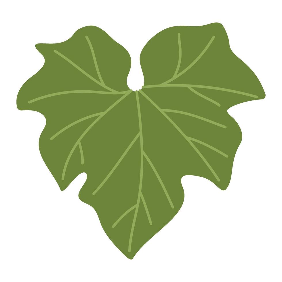 Pumpkin leaf plant. Hand drawn trendy flat style isolated on transparent background. Autumn Harvest, Thanksgiving concept illustration vector