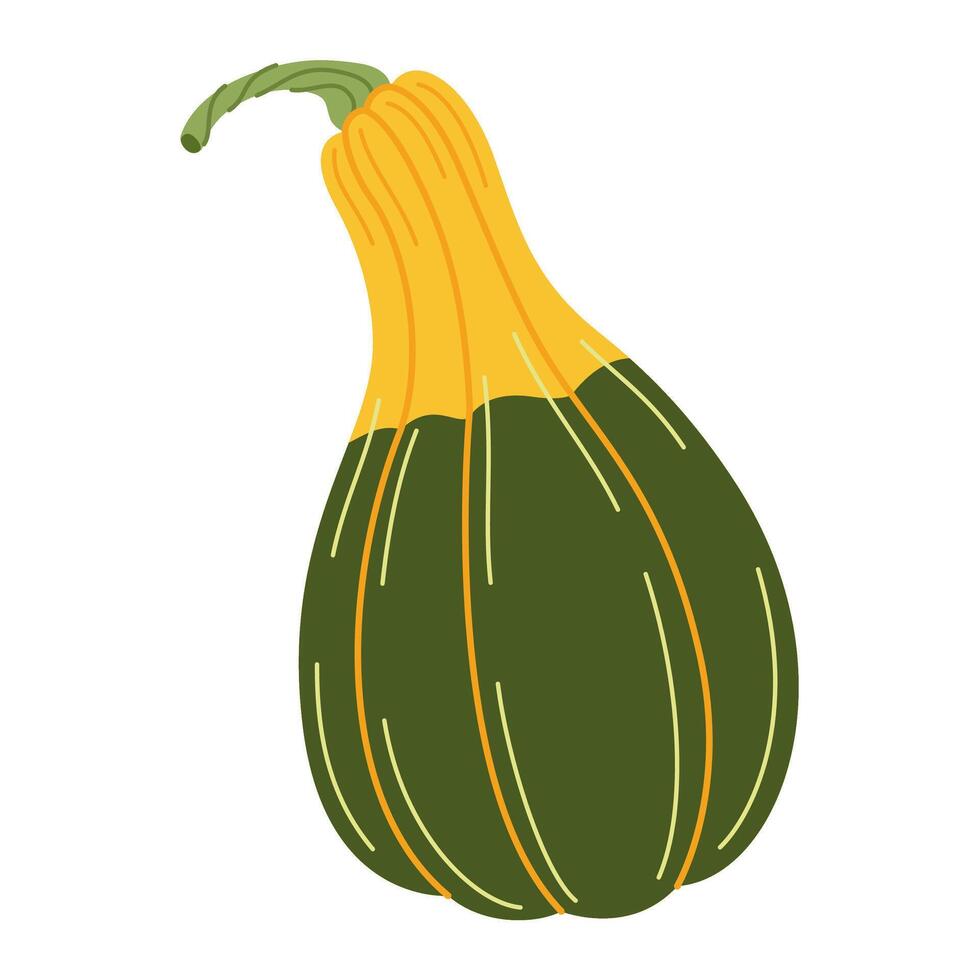 Ripe yellow green pumpkin. Hand drawn trendy flat style isolated on transparent background. Organic food, Autumn Harvest, Thanksgiving, halloween concept. Healthy vegetarian menu illustration vector