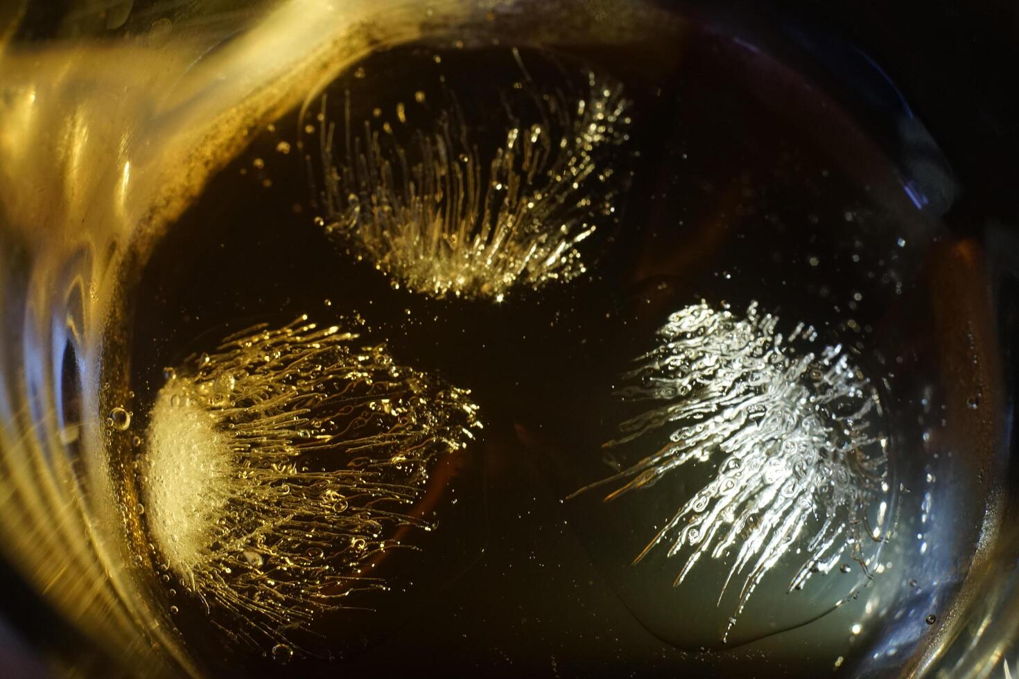 Ice cubes in glass of water photo
