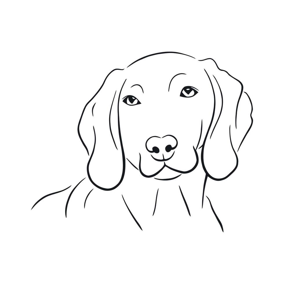 a dog is drawn in a line drawing style vector