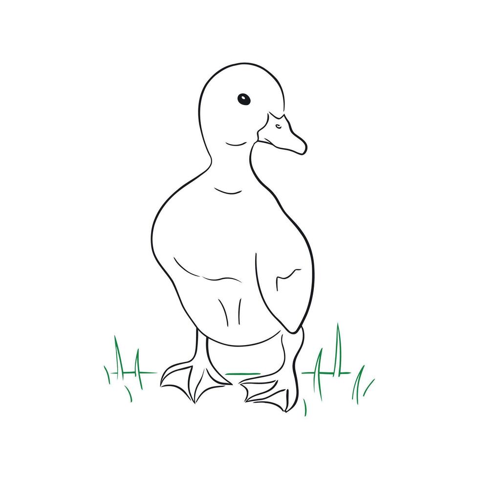 a drawing of a duck standing in the grass vector