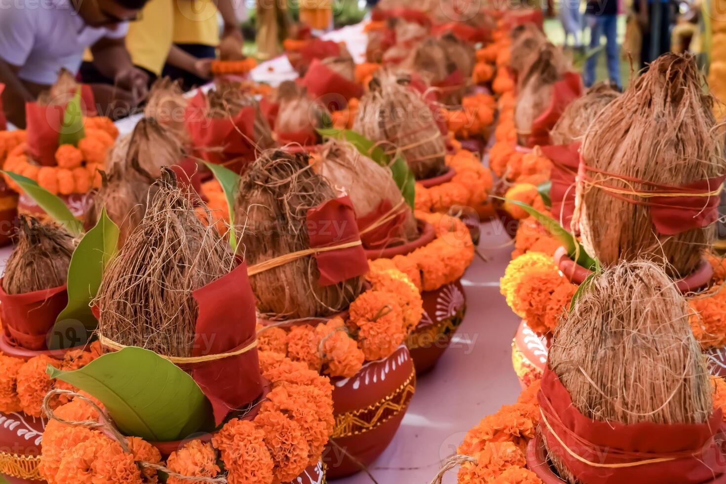 Kalash with coconut and mango leaf with floral decoration earthen pots containing sacred water. Kalash for hindu puja during Jagannath Temple Mangal Kalash Yatra, front view, closeup photo