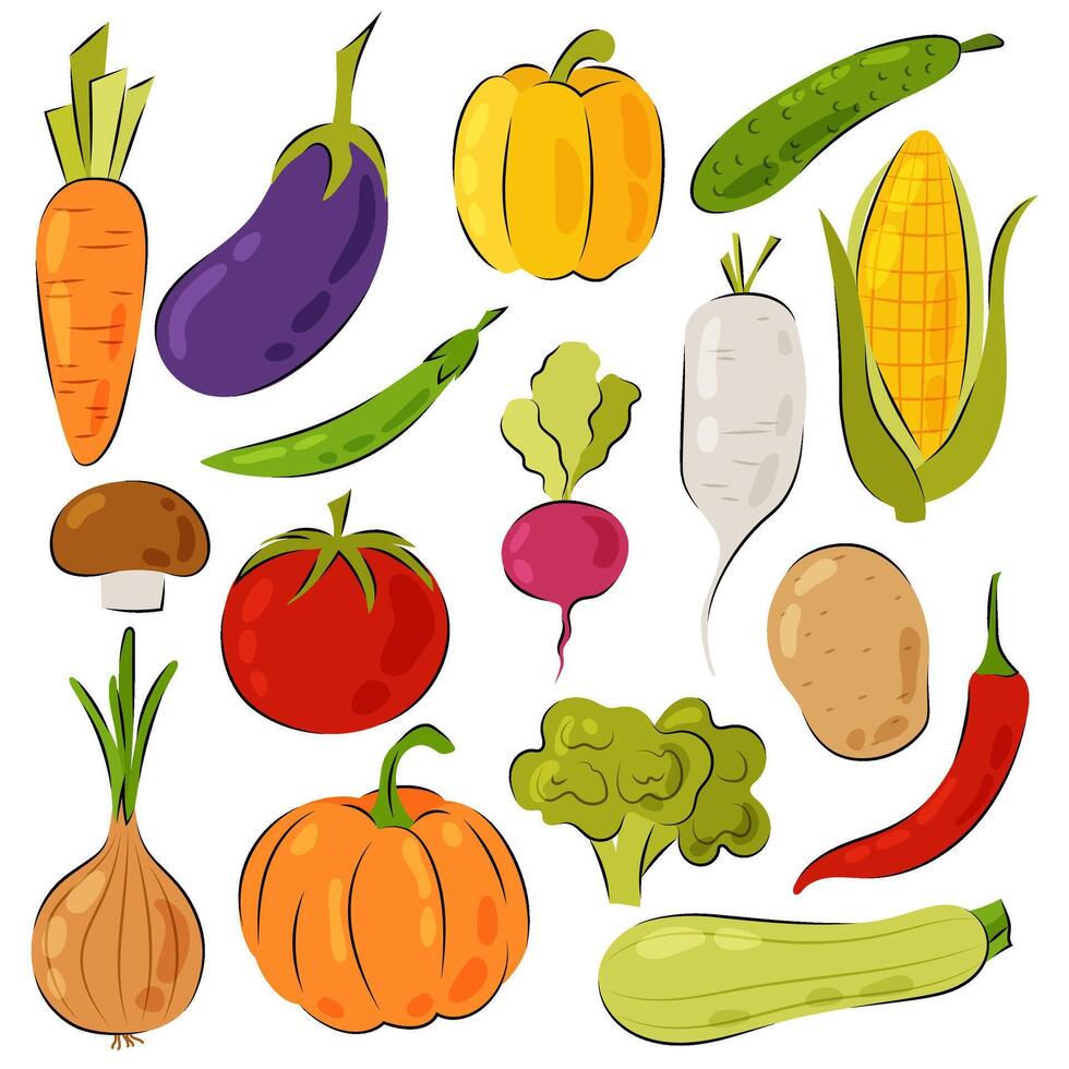 Set of different vegetables in flat style. Fresh vegetables on a white background. Healthy food. Illustrations of vegetables in hand drawn style. vector