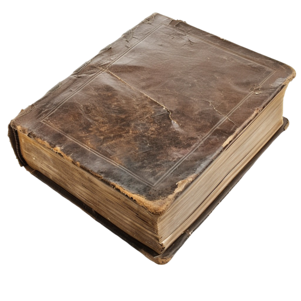 Memories Preserved Crafting Your Perfect Photo Album png