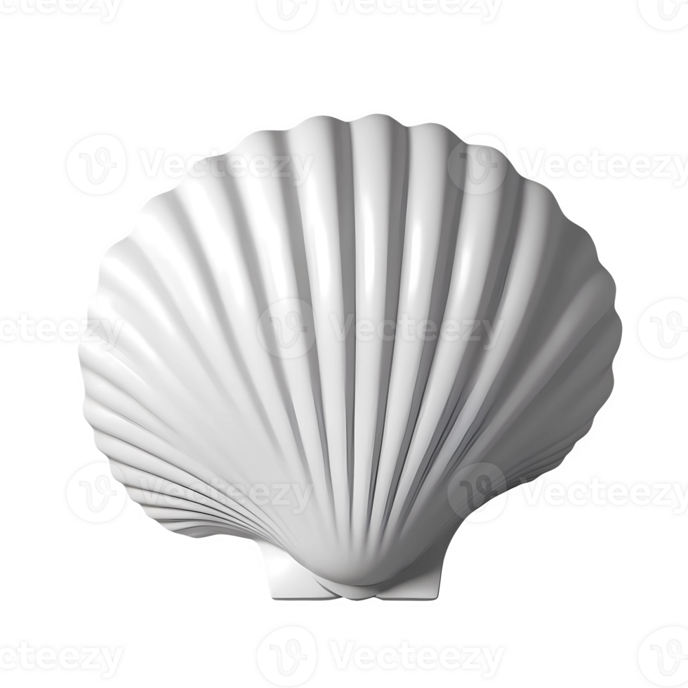 3d rendering seashell png