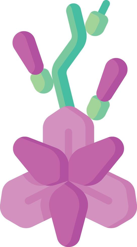 gladiolus illustration design vector