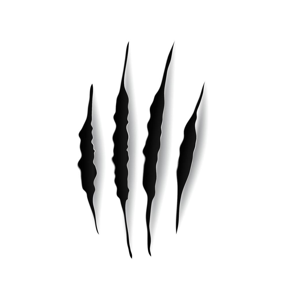 Eagle claw marks, scratches, predator bird nails vector