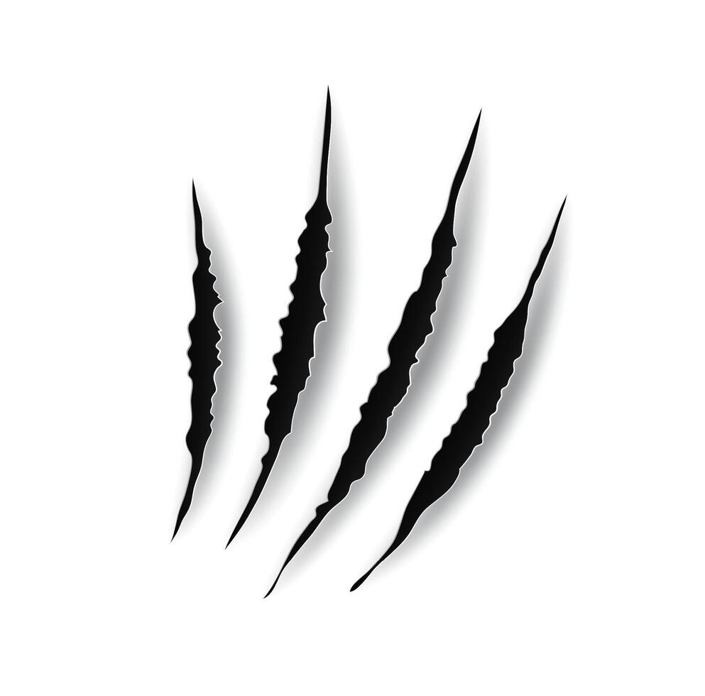 Monster claw mark scratches, predator nails trail vector