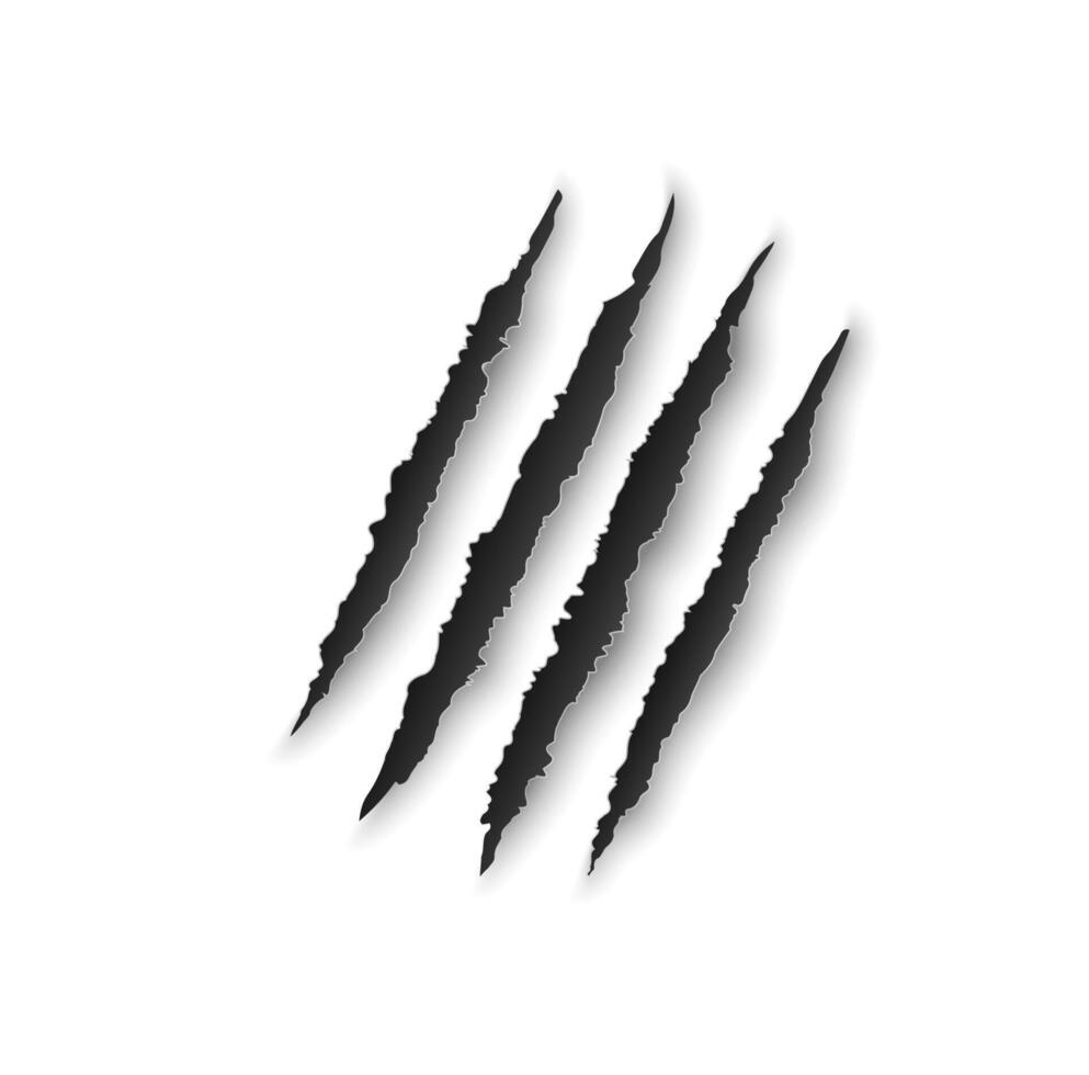 Bear claw marks, scratches, wild animal talon rips vector