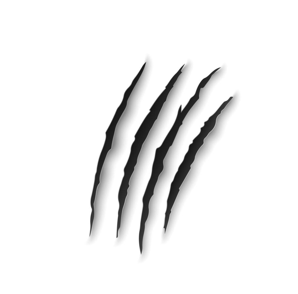 Tiger claw marks, scratches, predator nails trail vector