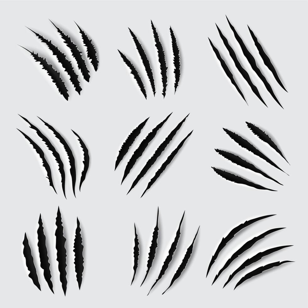 Claw scratches and marks of animal paws vector