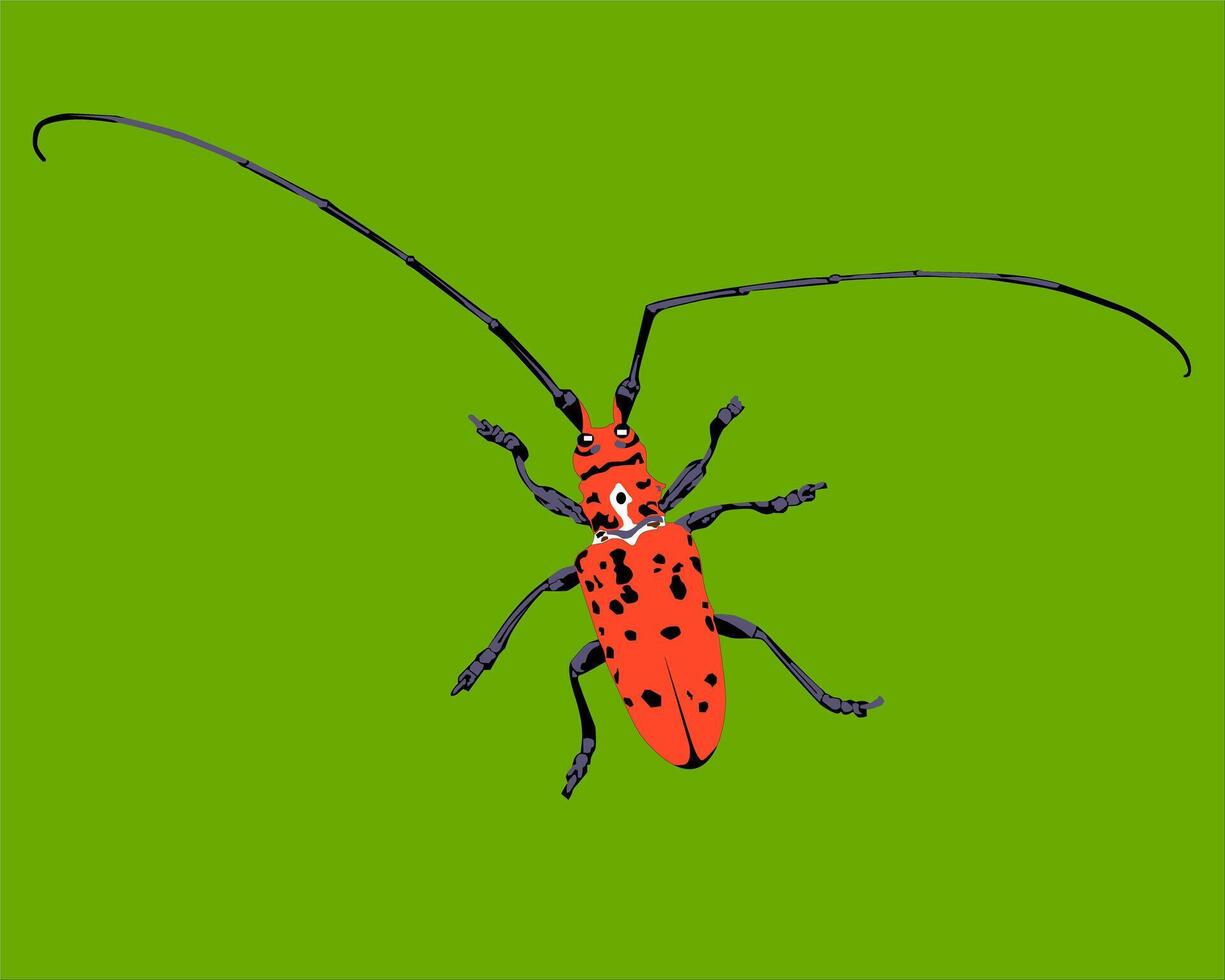 illustration of a red insect with black spots vector