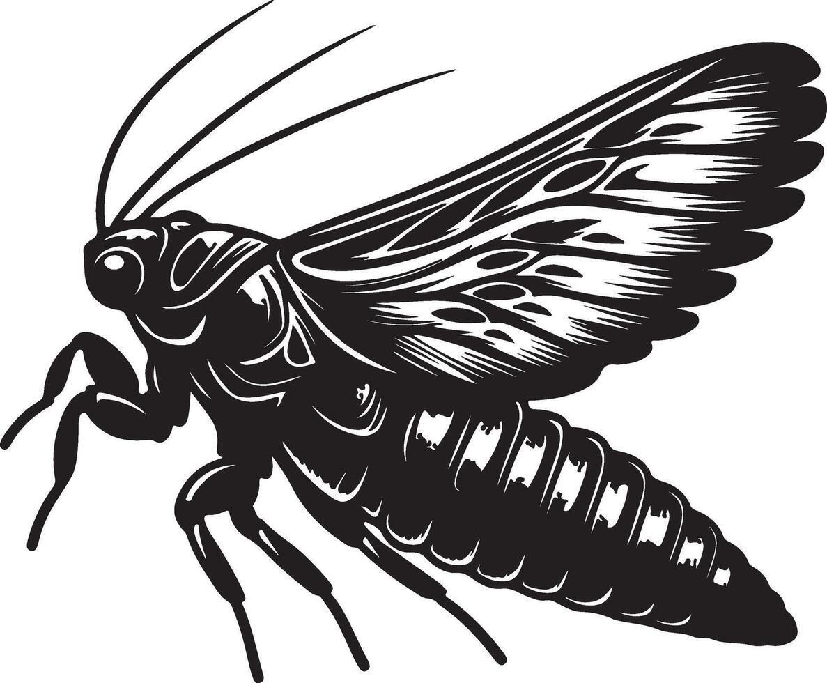 Cicadellidae silhouette art vector