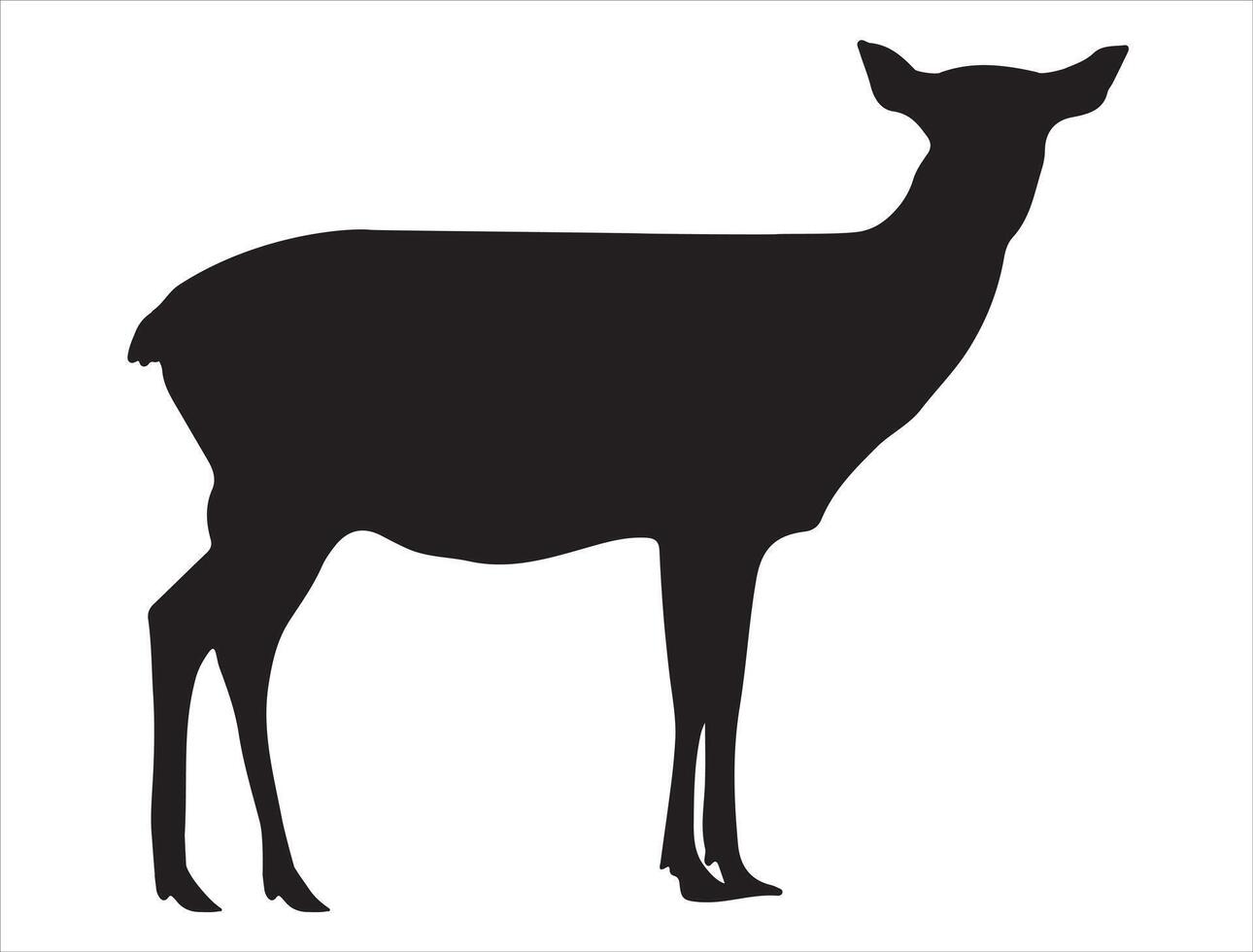 Doe silhouette on white background vector