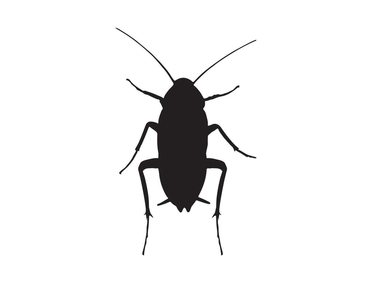 Cockroach silhouette on white background vector