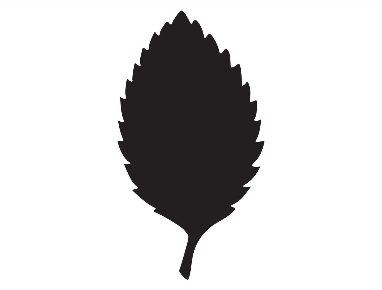 Elm leaf silhouette on white background vector