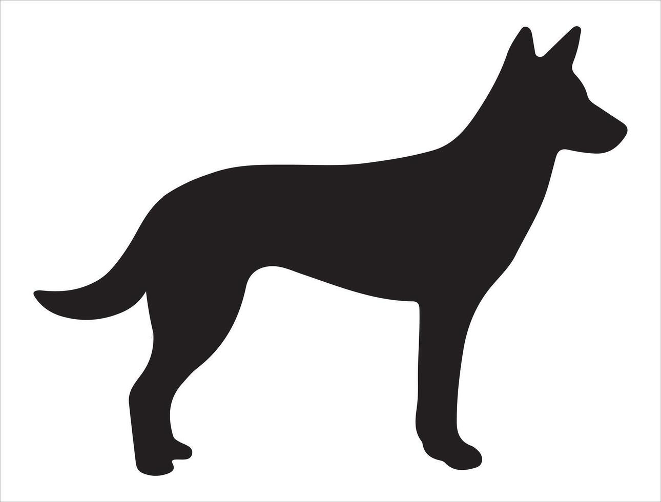 Dingo silhouette on white background vector