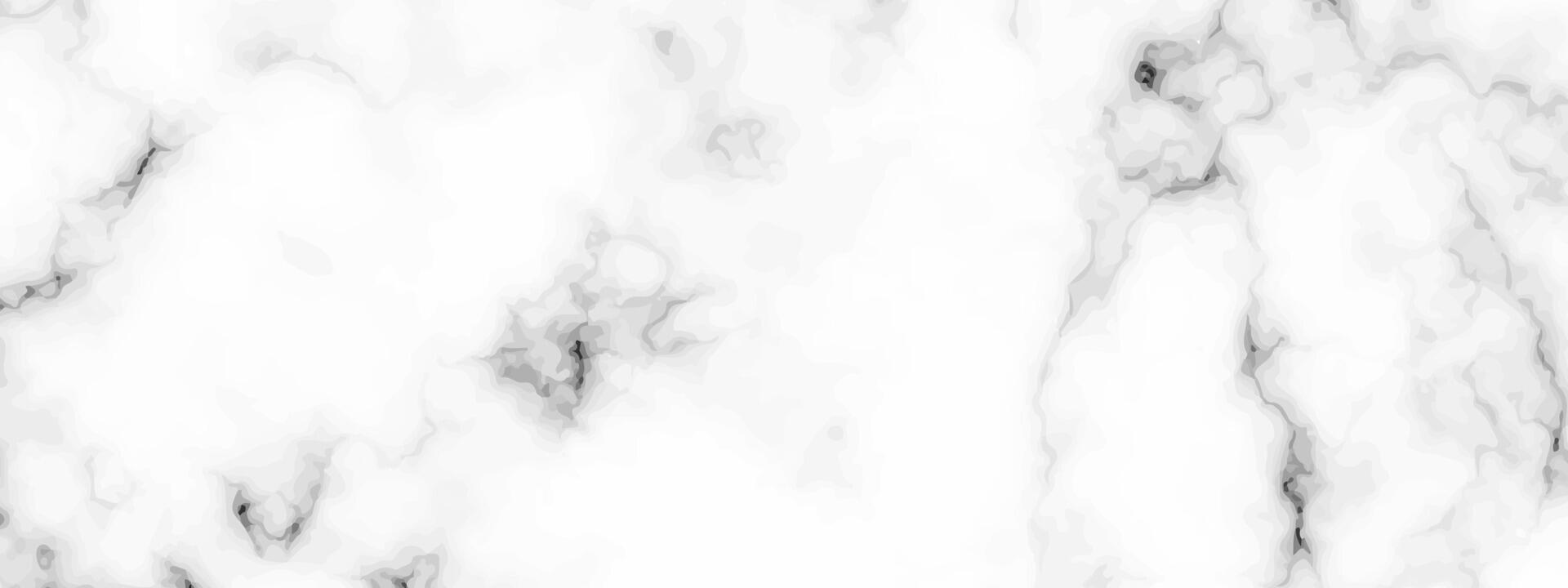 White marble texture background vector
