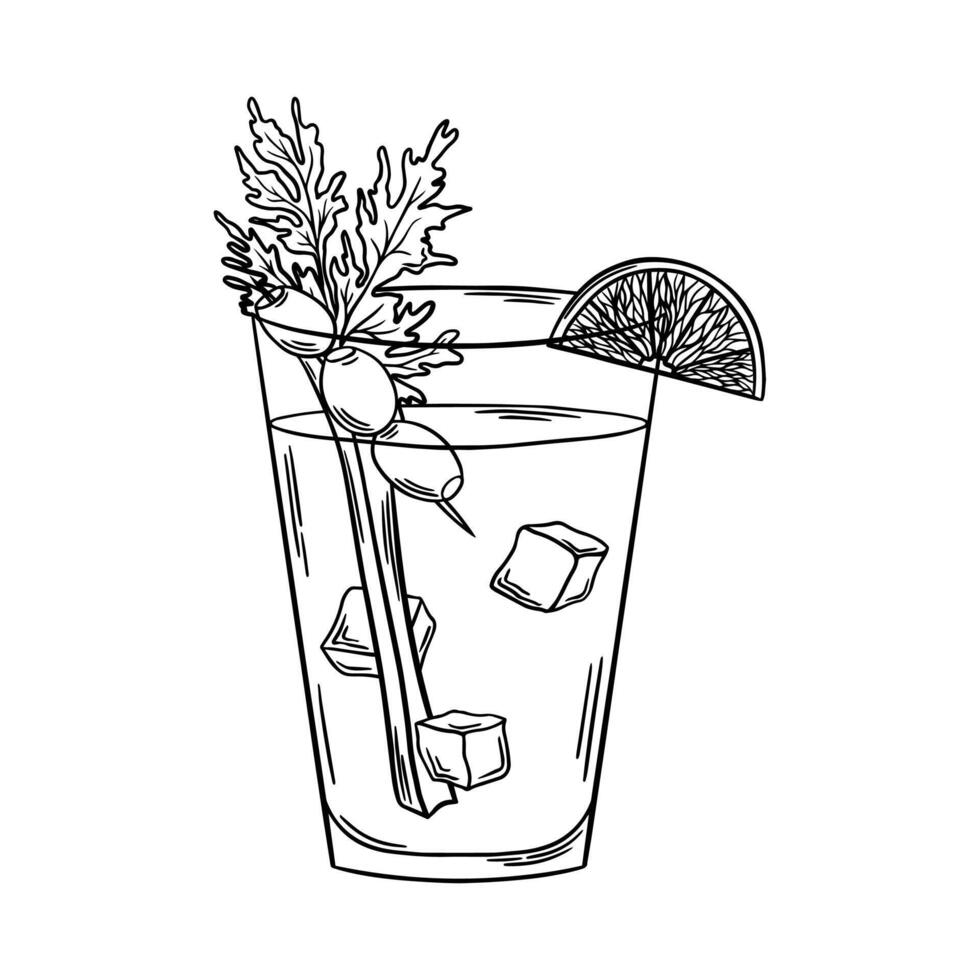 Bloody Mary Cocktail black and white outline illustration. Bar drink line art. Engraving style. Line drawing vector
