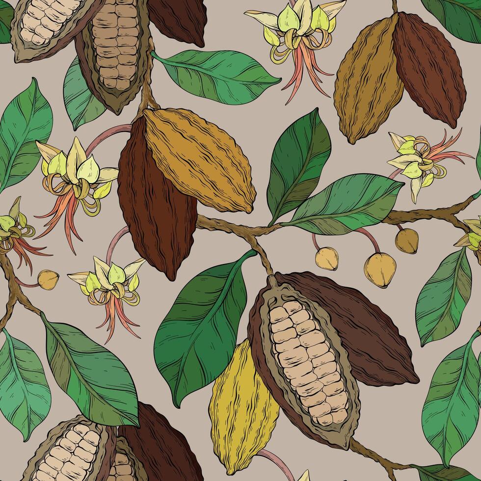 Cocoa seamless pattern with cocoa tree branches flowers and fruits vector