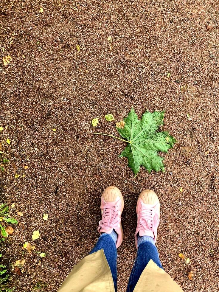 A woman's feet in shiny pink sneakers slowly appear in the frame. Woman walks and stops, than she leaves the frame. photo