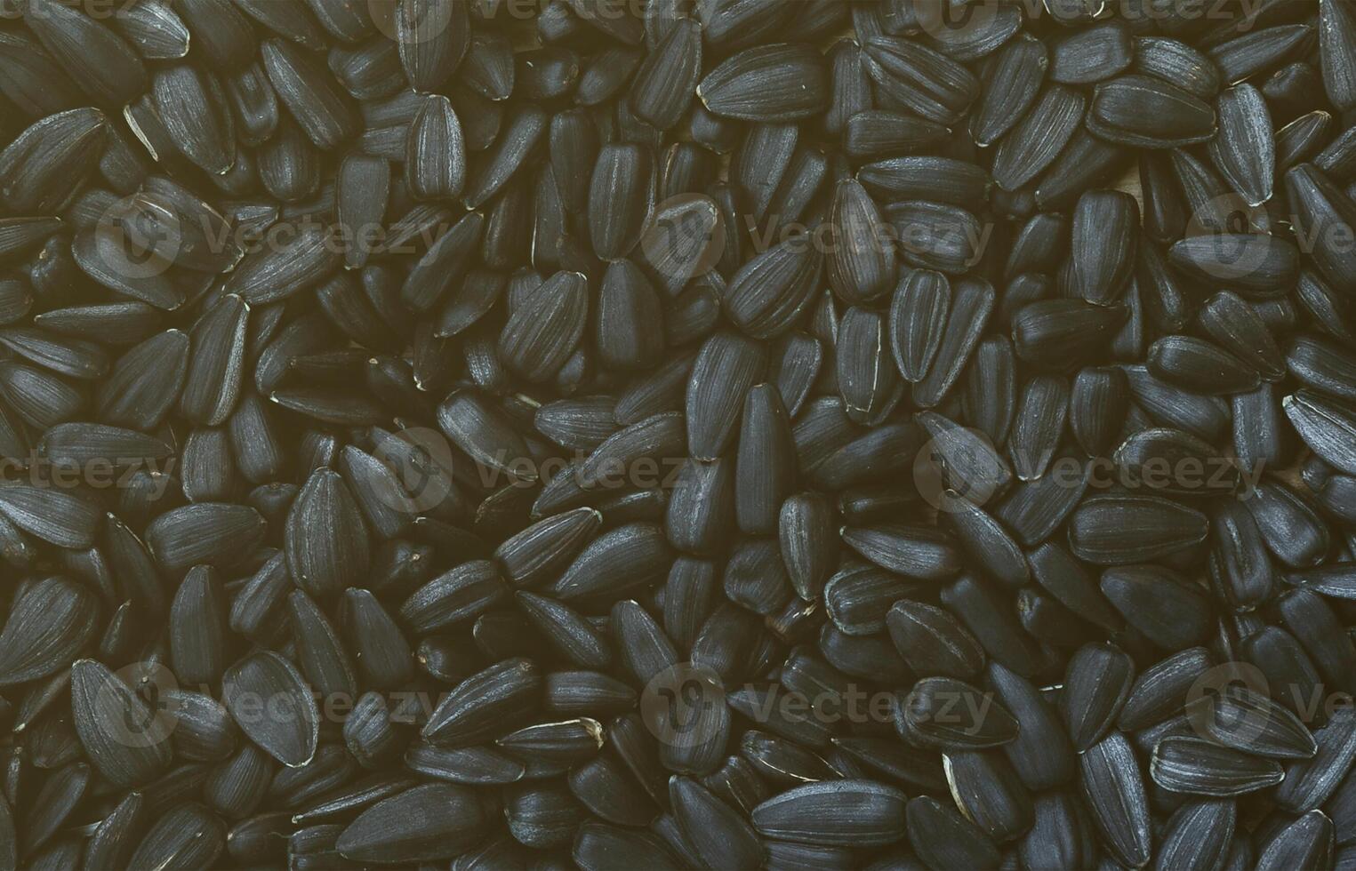 A pattern of many unprocessed fried sunflower seeds in a black shell. photo