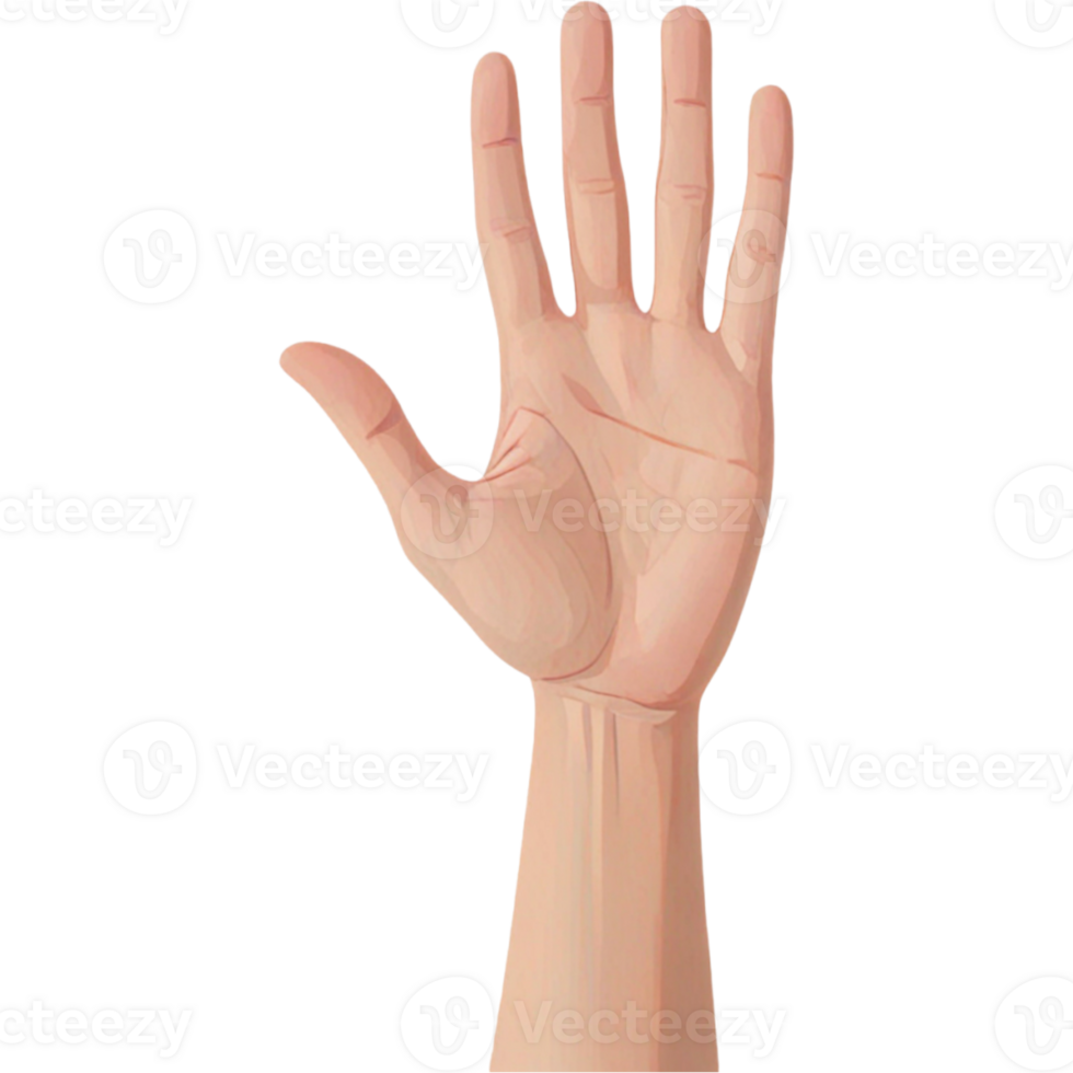 Open Palm Hand Flat Icon png