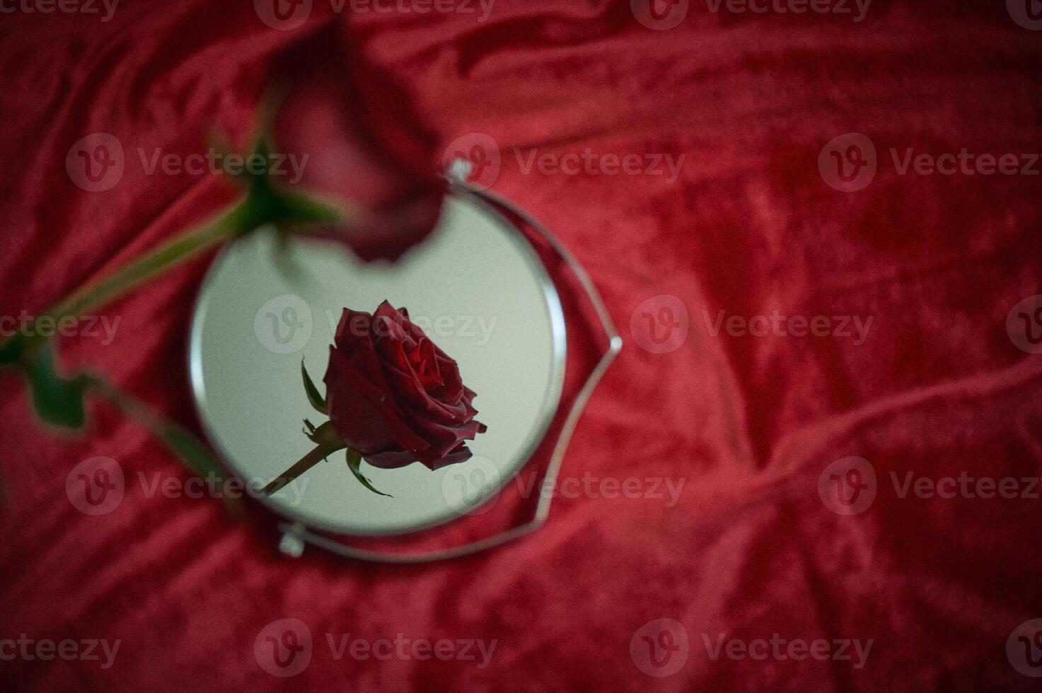 Reflection of a red rose in a round mirror. A symbol of passion and love. photo