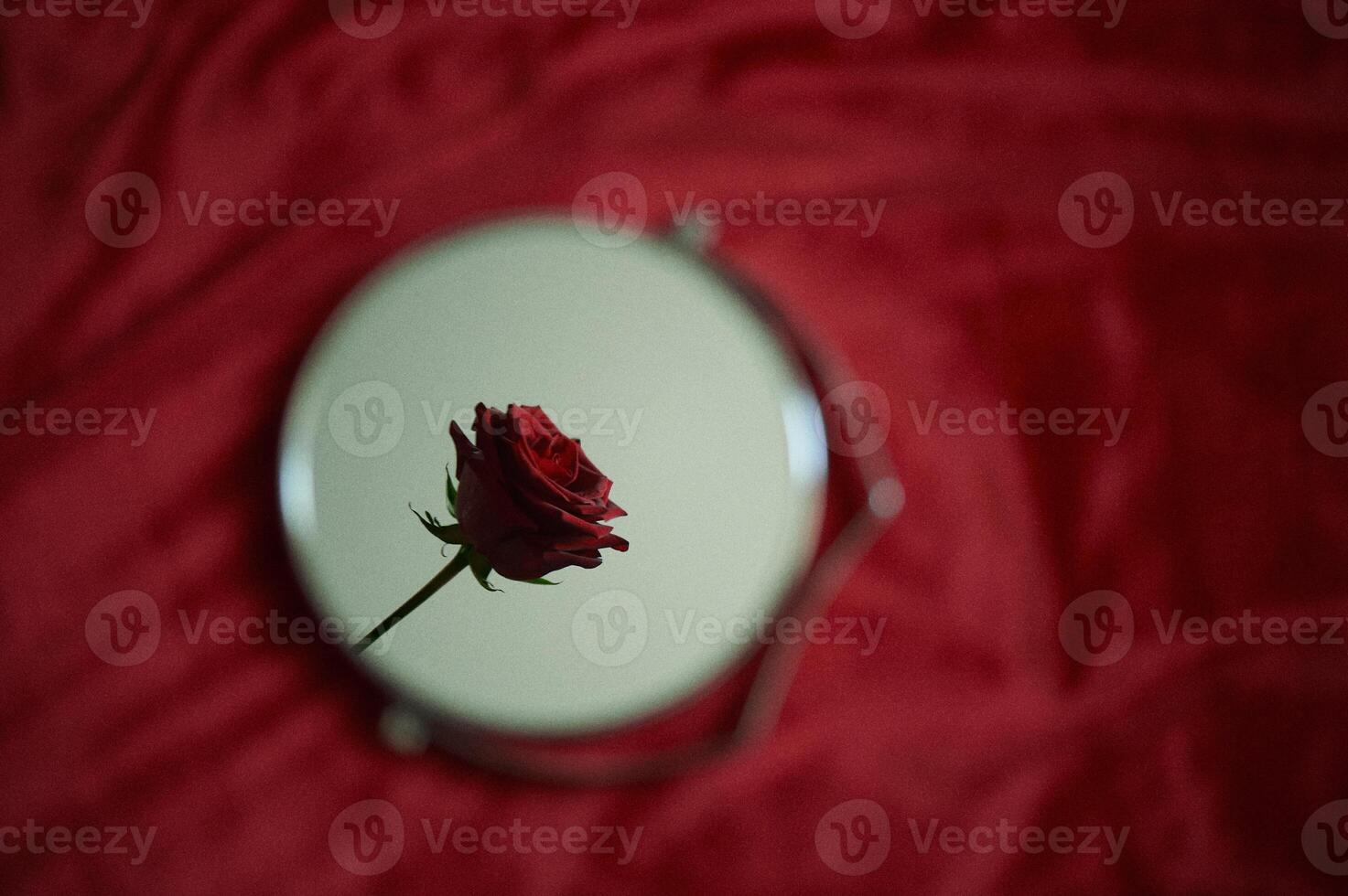 Reflection of a red rose in a round mirror. A symbol of passion and love. photo