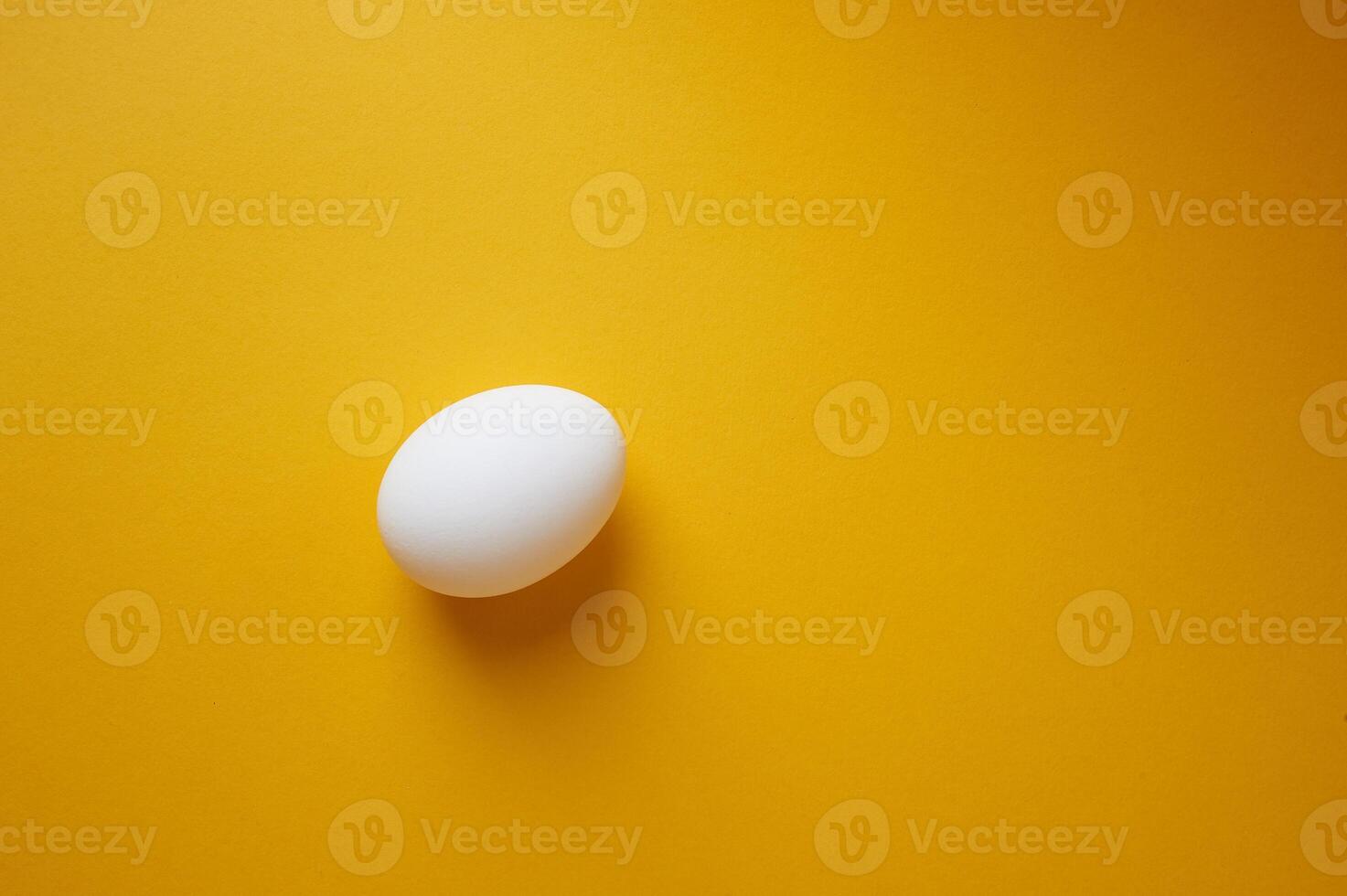 One egg on a white background.Minimalism. An idea, the beginning of life. photo