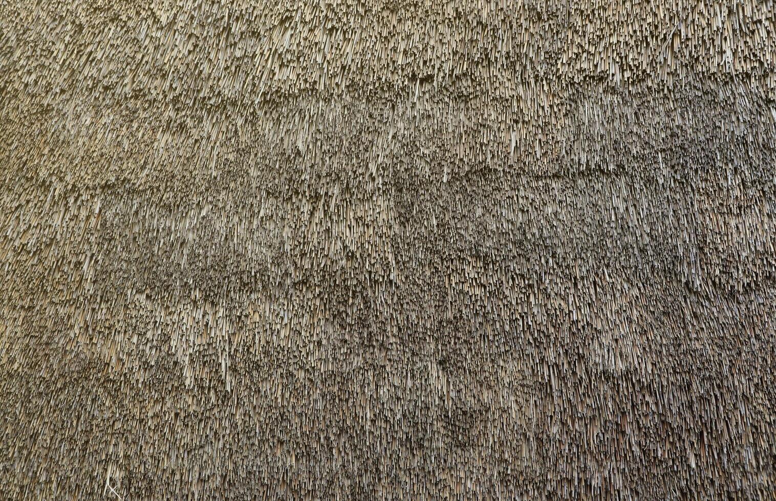 Texture of hay bale background or dry grass background. Textured hay bale background for countryside, rural area photo